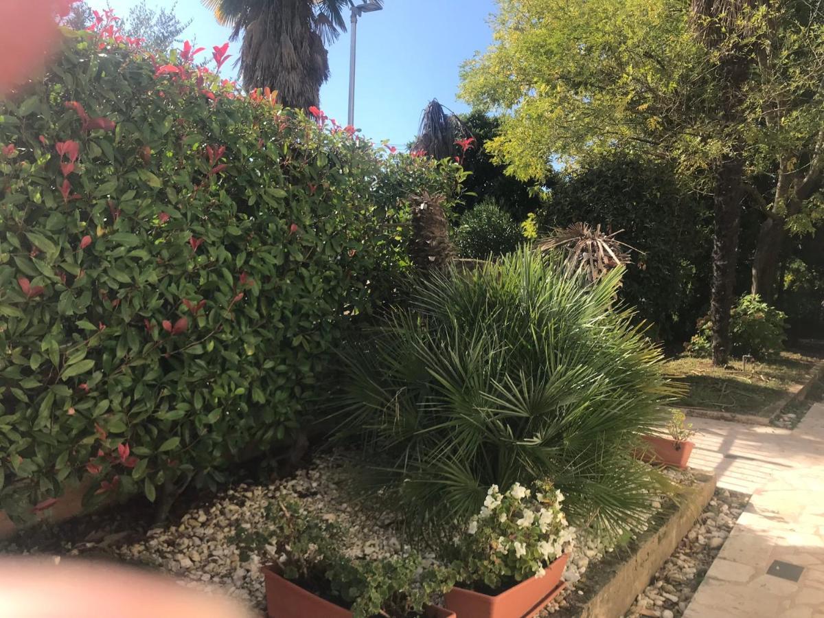 Bloom Near The * Porec